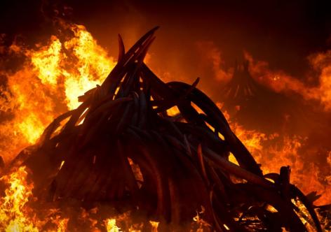 প্ৰতিকী ফটো