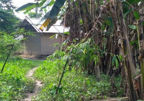 ফটো,উৎস ইন্টাৰনেট, 