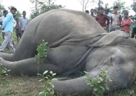 প্ৰতিকী ফটো,উৎস ইন্টাৰনেট, 