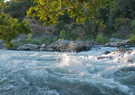 Friends of the River