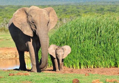 প্ৰতিকী ফটো