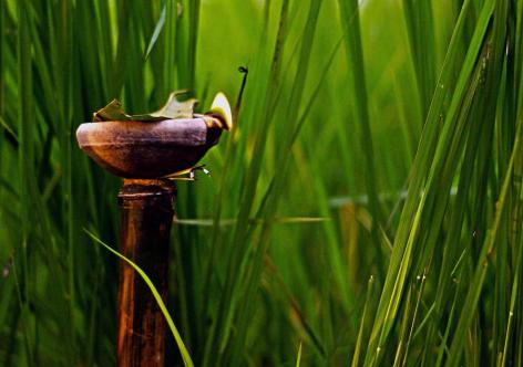 উৎস ইন্টাৰনেট