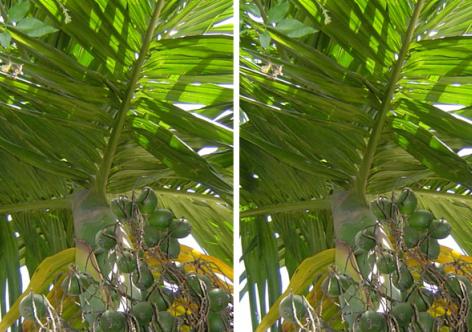 প্ৰতিকী ফটো,উৎস ইন্টাৰনেট, 