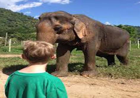 প্ৰতিকী ফটো