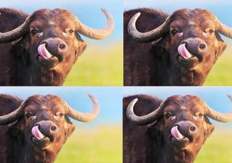 প্ৰতিকী ফটো,উৎস ইন্টাৰনেট, 