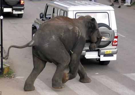 প্ৰতিকী ফটো, Daily Mail