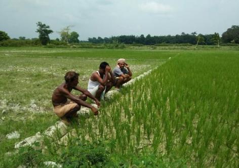 ফাইল ফটো