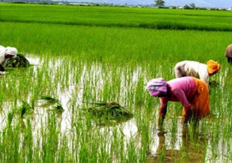 প্ৰতিকী ফটো