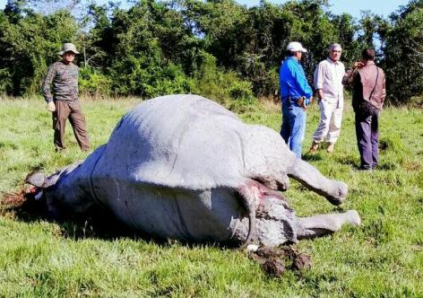 ফাইল ফটো