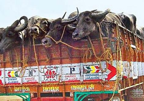 Image for Representation