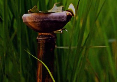 প্ৰতিকী ফটো