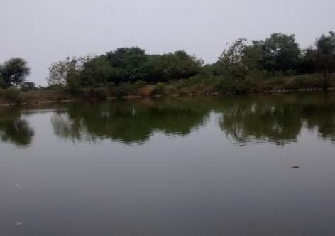 প্ৰতিকী ফটো