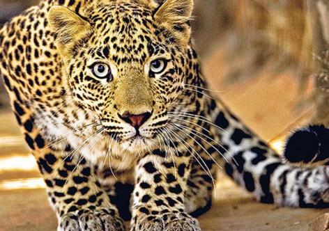 প্ৰতিকী ফটো,উৎস ইন্টাৰনেট, 