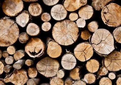 প্ৰতিকী ফটো,উৎস ইন্টাৰনেট, 