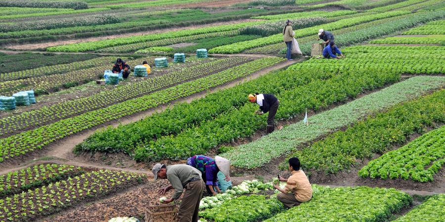 প্ৰতিকী ফটো,উৎস ইন্টাৰনেট, 