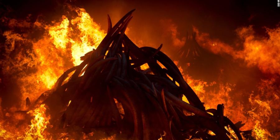 প্ৰতিকী ফটো প্ৰতিকী ফটো