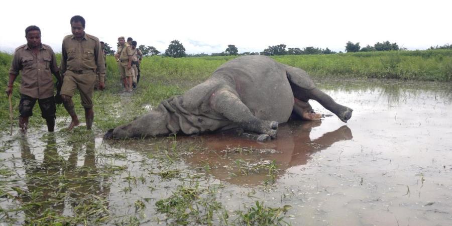 প্ৰতিকী ফটো