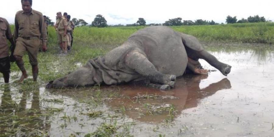 ফাইল ফটো