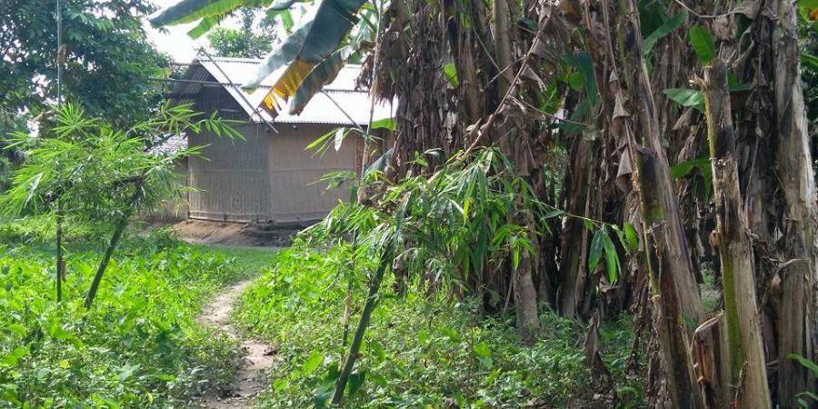 ফটো,উৎস ইন্টাৰনেট ফটো,উৎস ইন্টাৰনেট,