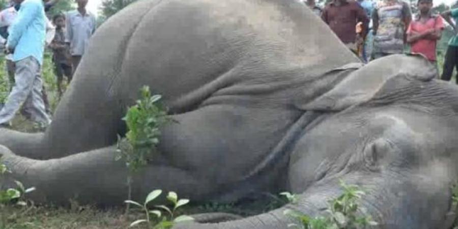 প্ৰতিকী ফটো,উৎস ইন্টাৰনেট, 