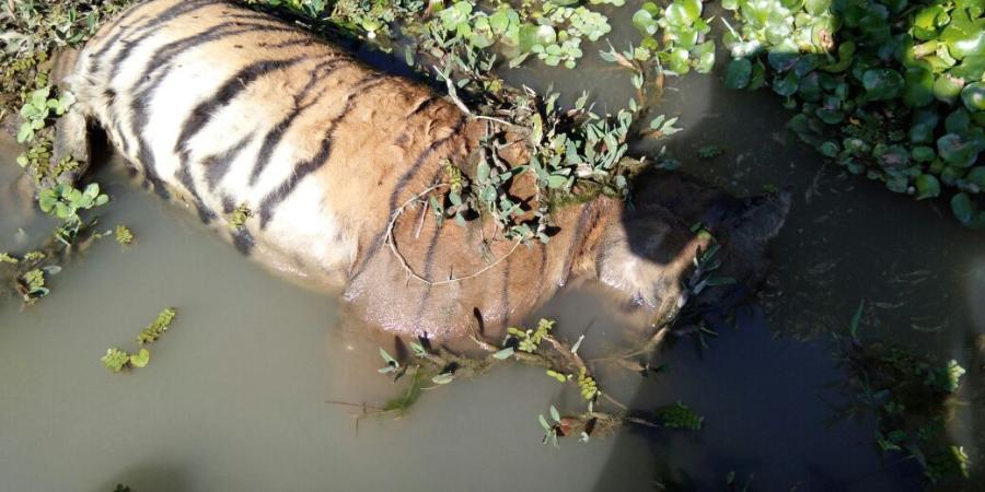 প্ৰতিকী ফটো প্ৰতিকী ফটো