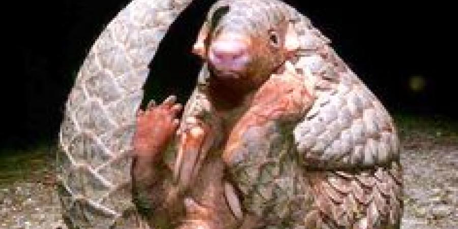 প্ৰতিকী ফটো,উৎস ইন্টাৰনেট প্ৰতিকী ফটো,উৎস ইন্টাৰনেট