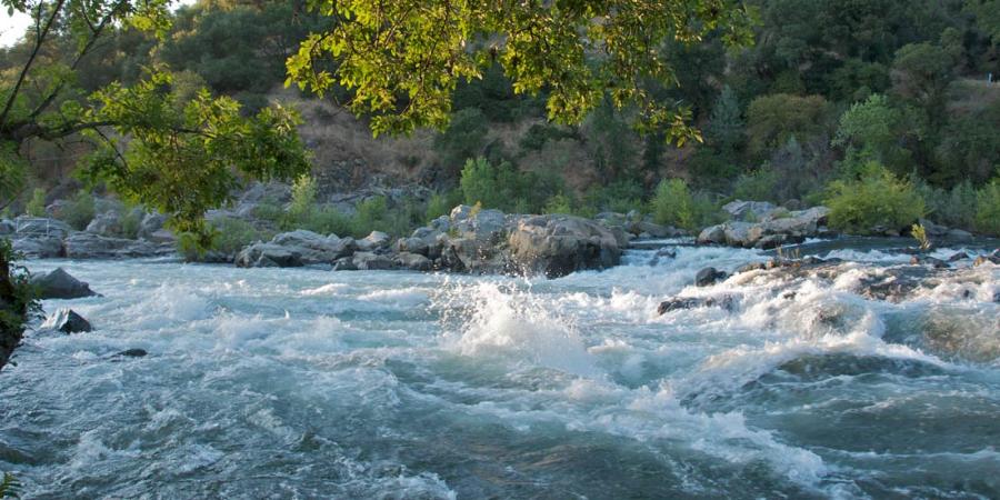 Friends of the River Friends of the River