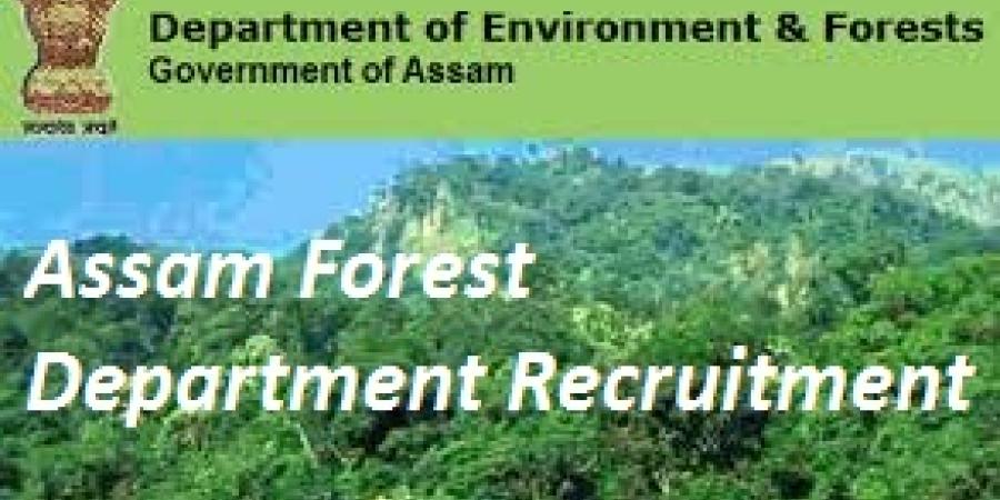প্ৰতীক ফটো প্ৰতীক ফটো