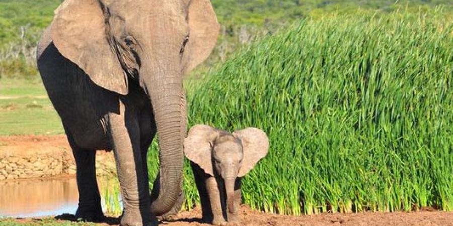 প্ৰতিকী ফটো