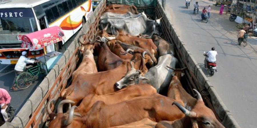 প্ৰতিকী ফটো প্ৰতিকী ফটো