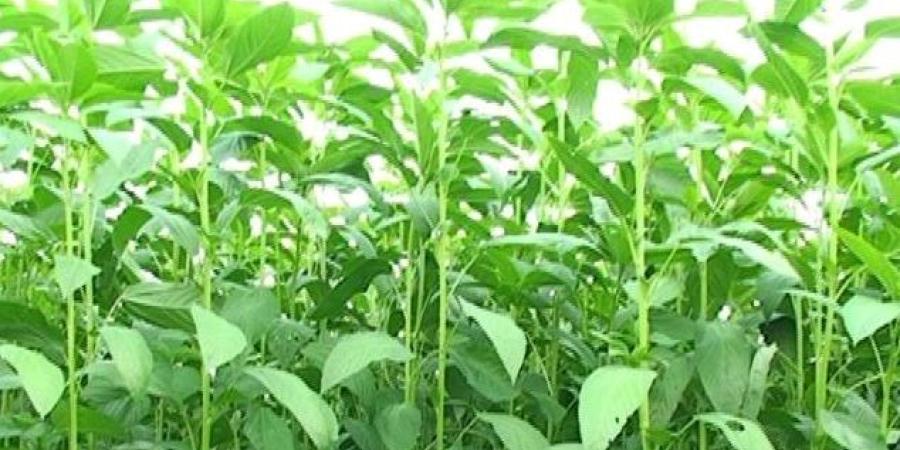 প্ৰতীকি ফটো