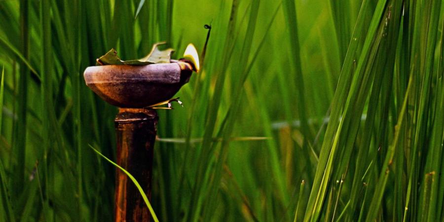 উৎস ইন্টাৰনেট