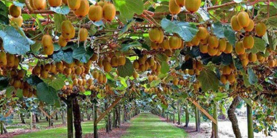 Traveloearth Traveloearth