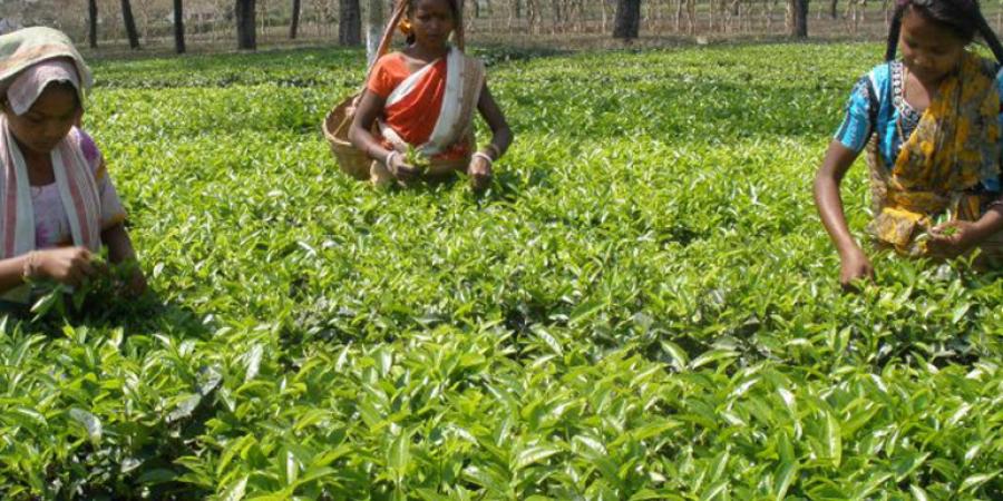 The North East The North East