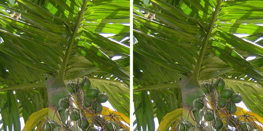 প্ৰতিকী ফটো,উৎস ইন্টাৰনেট প্ৰতিকী ফটো,উৎস ইন্টাৰনেট,