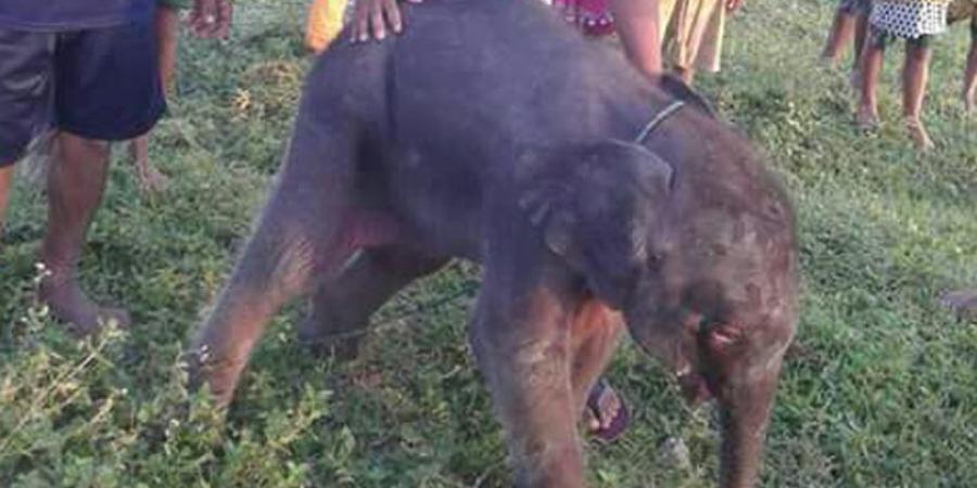 ফাইল ফটো ফাইল ফটো