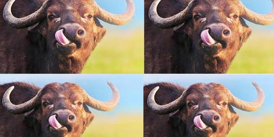 প্ৰতিকী ফটো,উৎস ইন্টাৰনেট প্ৰতিকী ফটো,উৎস ইন্টাৰনেট,