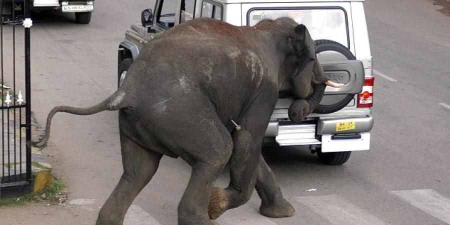 প্ৰতিকী ফটো, Daily Mail