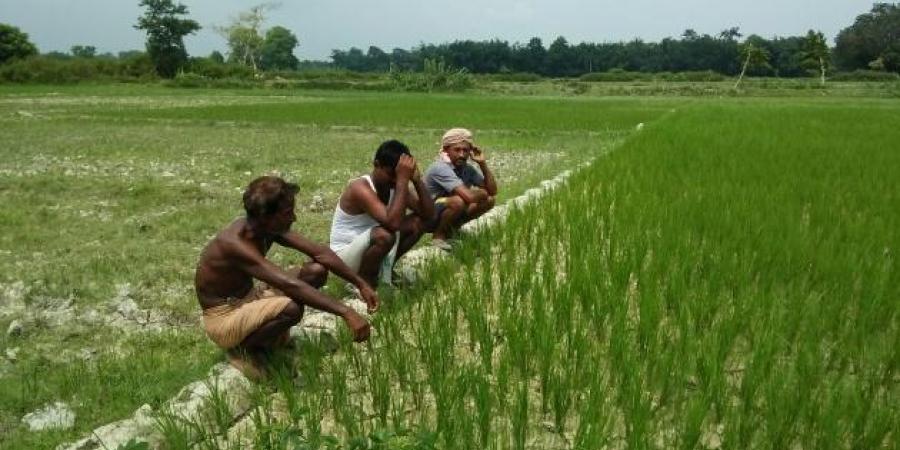 ফাইল ফটো