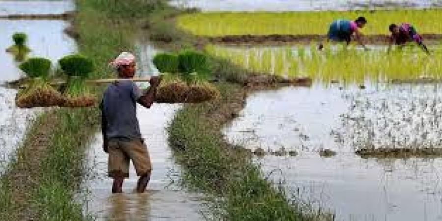 প্ৰতিকী ফটো,উৎস ইন্টাৰনেট