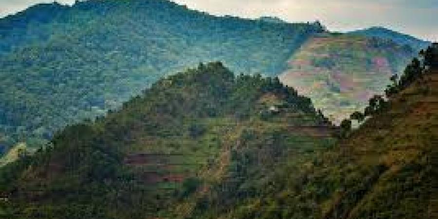 প্ৰতিকী ফটো প্ৰতিকী ফটো