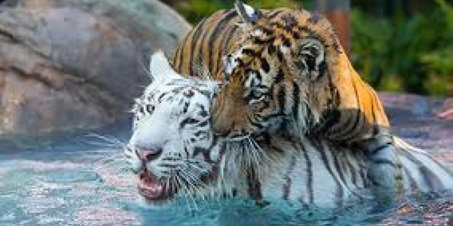 প্ৰতিকী ফটো