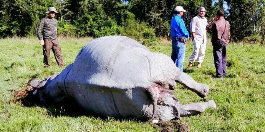 ফাইল ফটো ফাইল ফটো