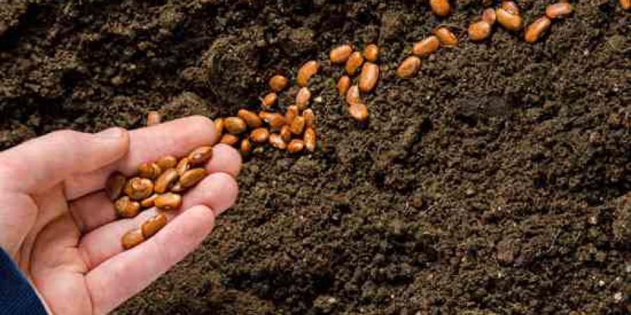 Mother Earth News Mother Earth News