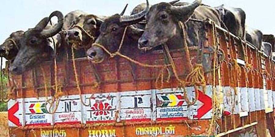 Image for Representation