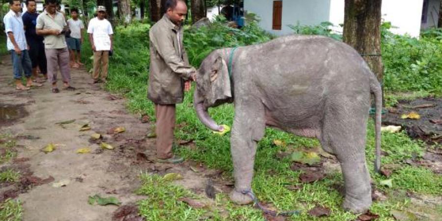 ফাইল ফটো ফাইল ফটো