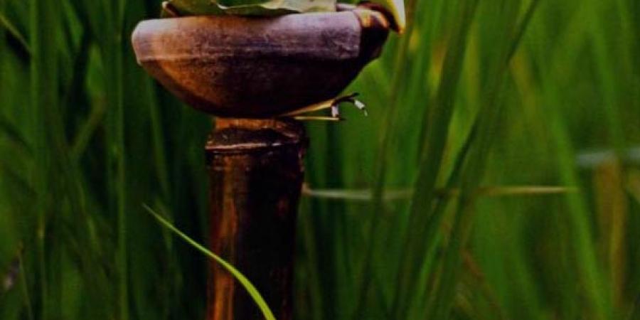 প্ৰতিকী ফটো