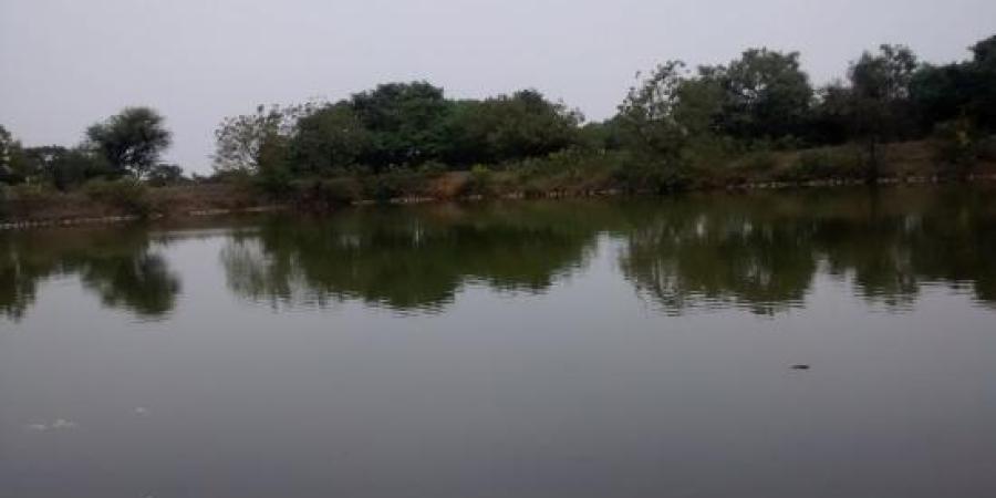 প্ৰতিকী ফটো