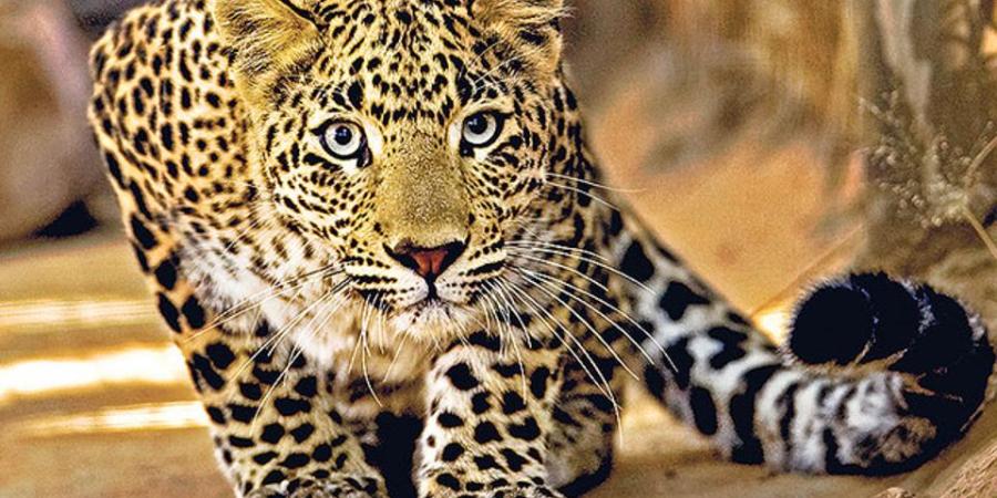 প্ৰতিকী ফটো,উৎস ইন্টাৰনেট প্ৰতিকী ফটো,উৎস ইন্টাৰনেট,