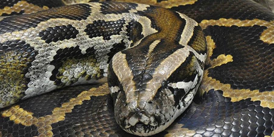 প্ৰতিকী ফটো,উৎস ইন্টাৰনেট, 